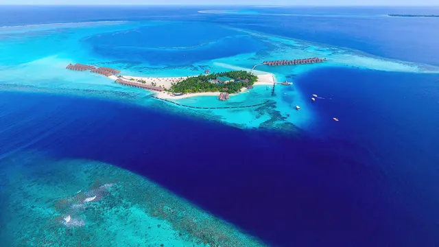 Constance Moofushi — image 22