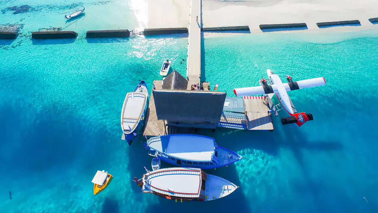 Constance Moofushi — image 46