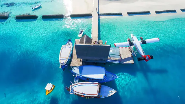 Constance Moofushi — image 46