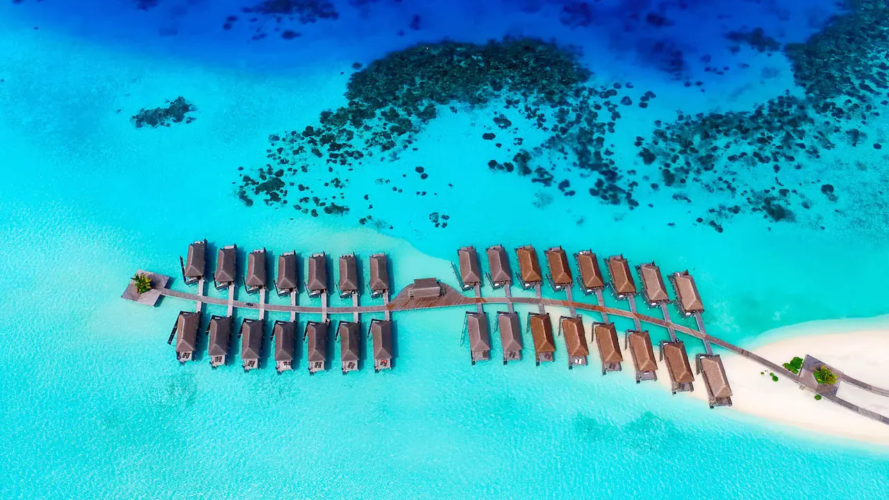Constance Moofushi — image 10