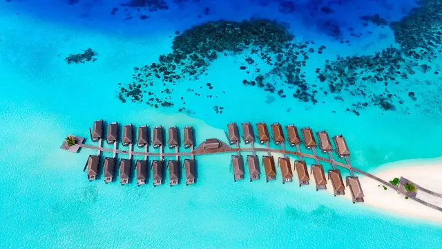 Constance Moofushi — image 10