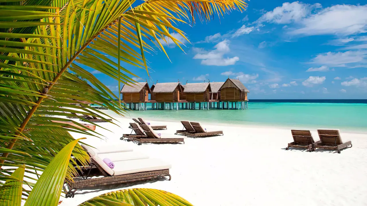 Constance Moofushi — image 23