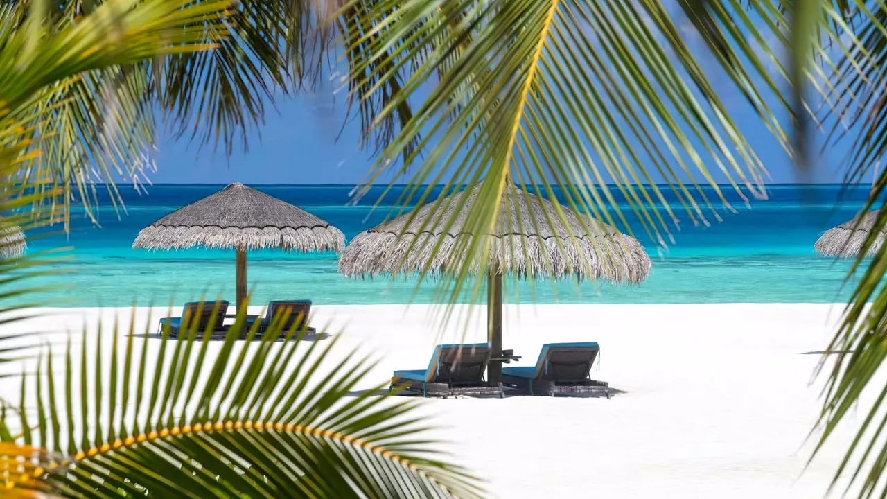 Constance Moofushi — image 1