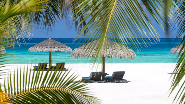 Constance Moofushi