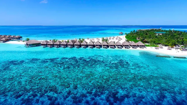 Constance Moofushi — image 15