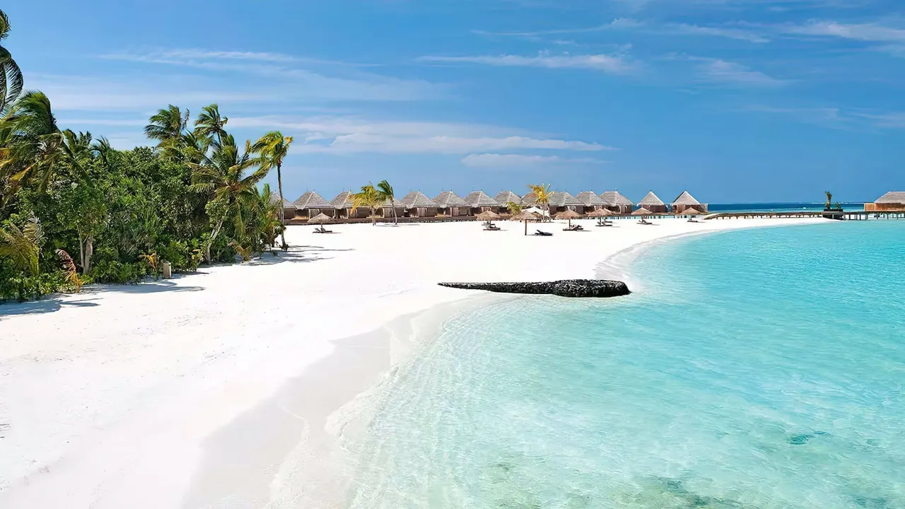 Constance Moofushi — image 52