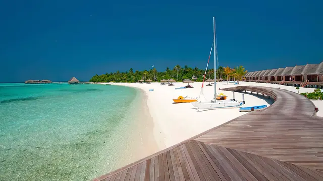 Constance Moofushi — image 47