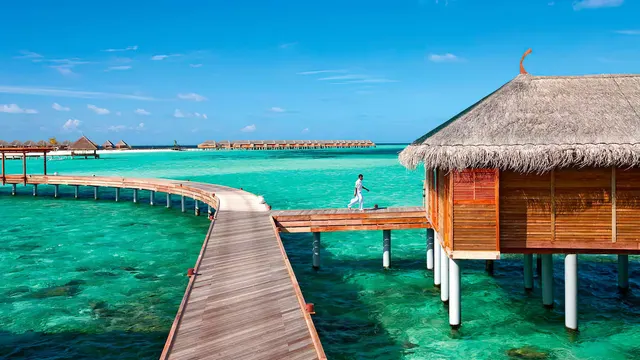 Constance Moofushi — image 45