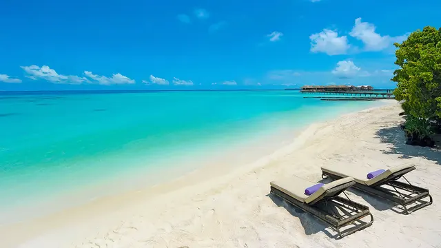Constance Moofushi — image 31
