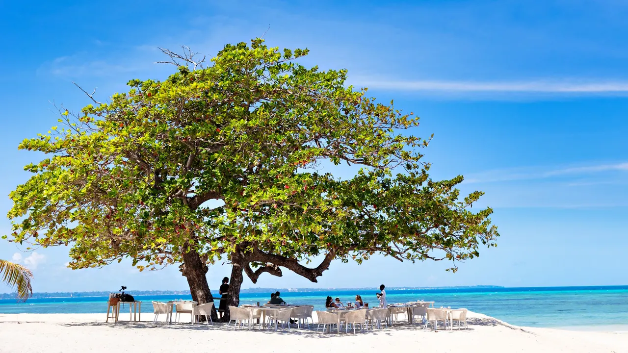 Bawe Island — image 29
