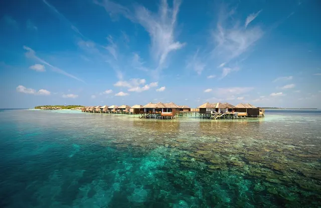Lily Beach Resort — image 16