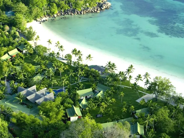 Paradise Sun