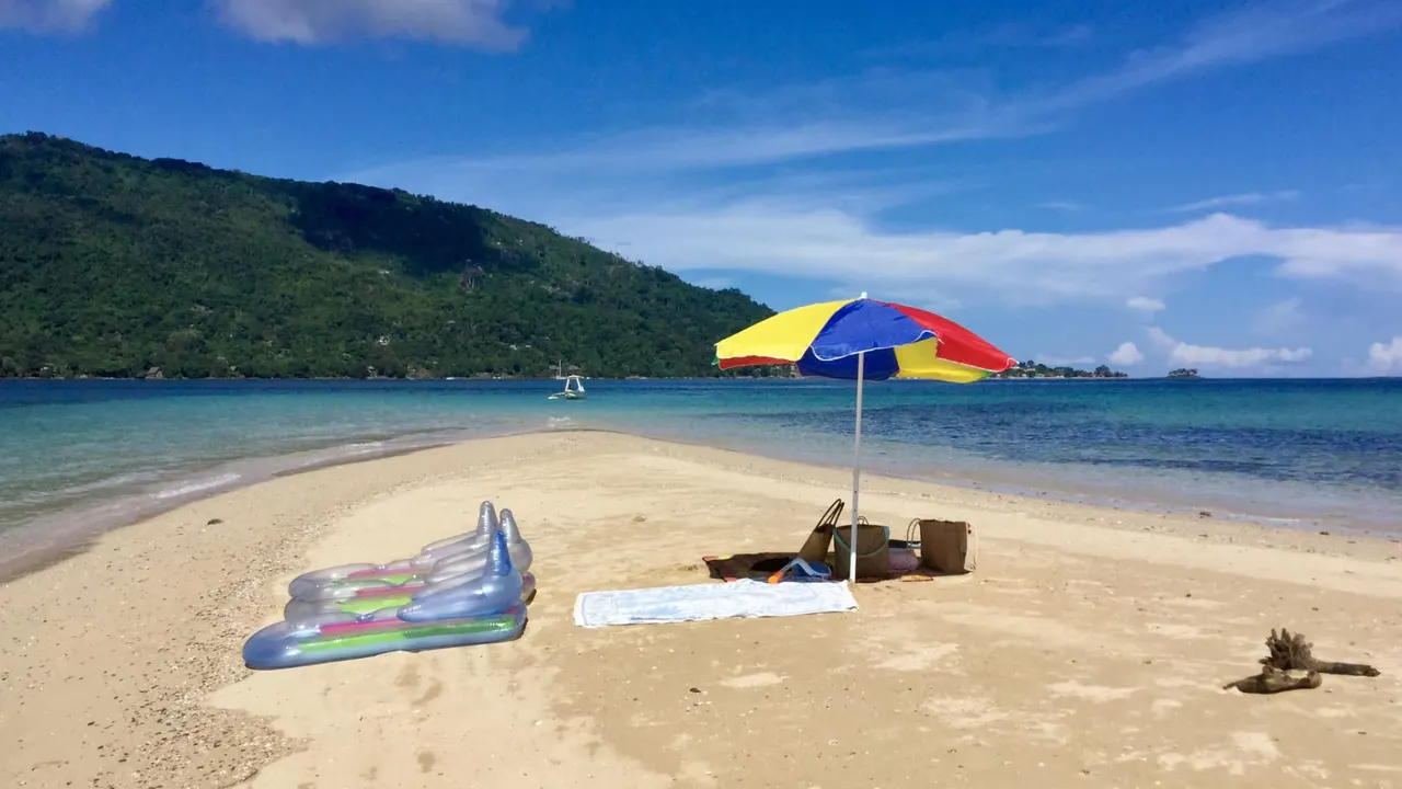 293 on Komba — image 13