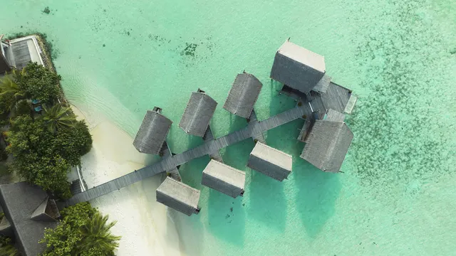Constance Moofushi — image 40