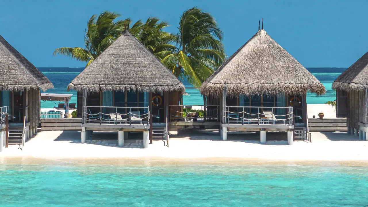 Constance Moofushi — image 14