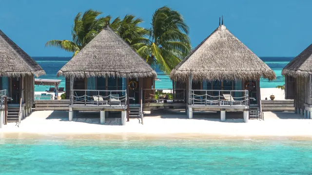 Constance Moofushi — image 14