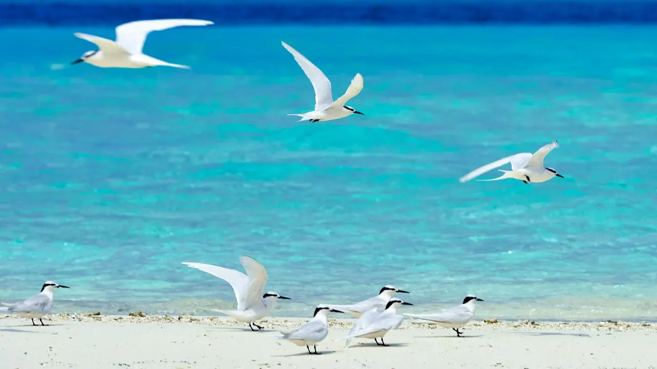Constance Moofushi — image 36