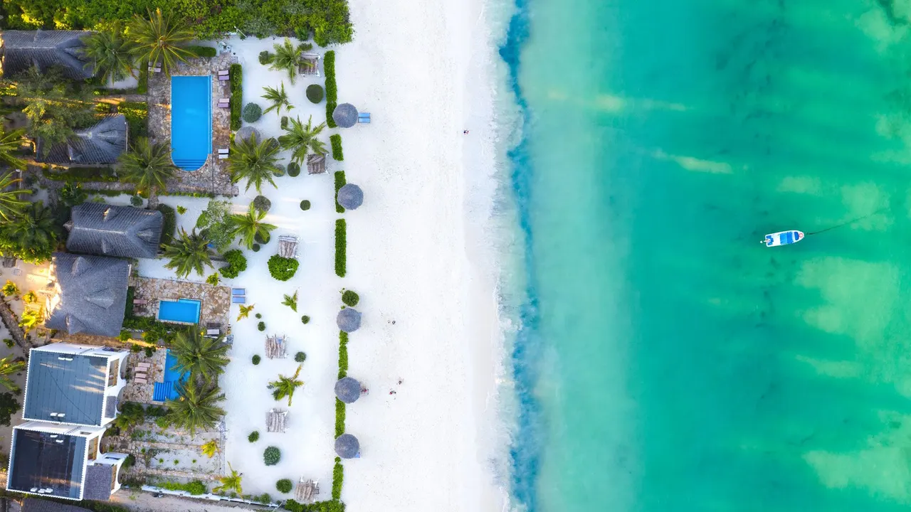 Next Paradise — image 5