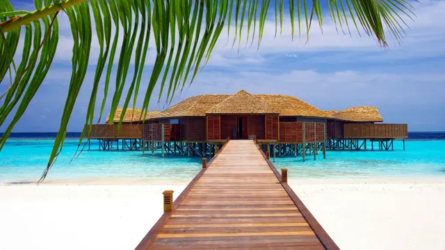 Lily Beach Resort — image 3