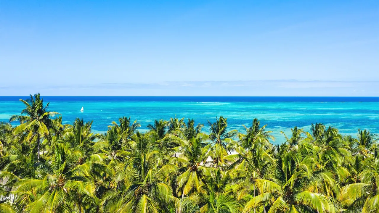 Next Paradise — image 11