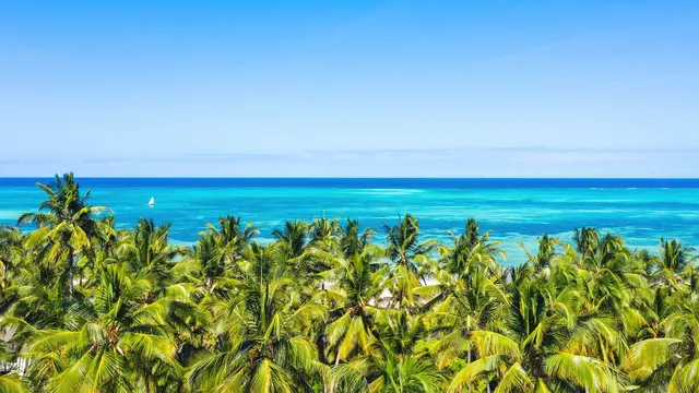 Next Paradise — image 11