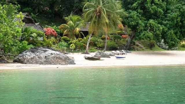 Komba Forever — image 11
