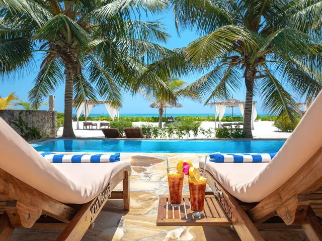 Next Paradise