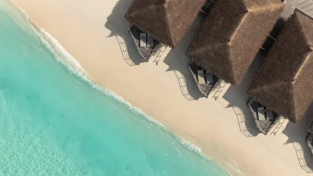 Constance Moofushi — image 12
