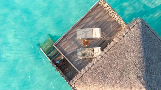Constance Moofushi — image 5