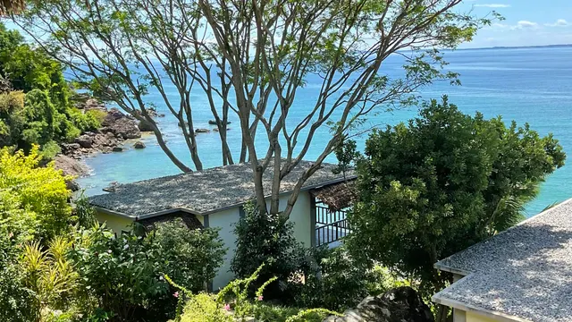 Komba on the Rocks — image 15