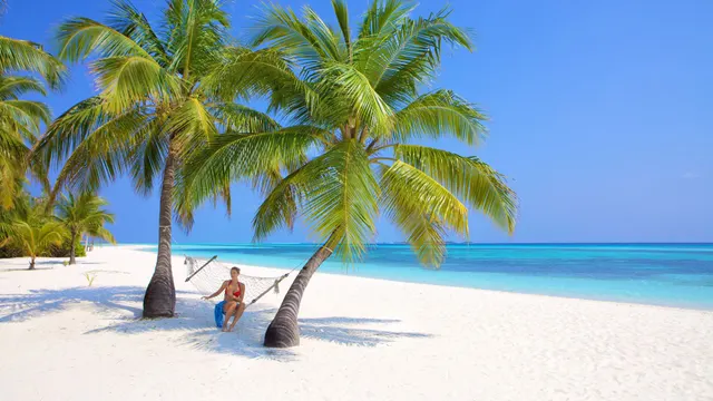 Kuredu