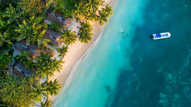 Aerial view of thatched beach bungalows among the palms with a boat anchored off the reef