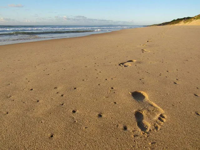 Sava Dunes — image 24