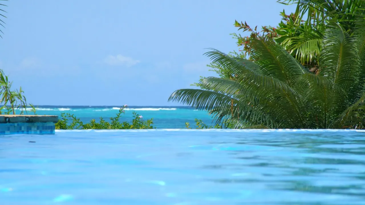 Next Paradise — image 13