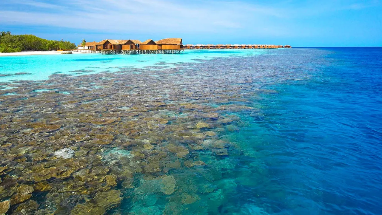 Lily Beach Resort — image 7