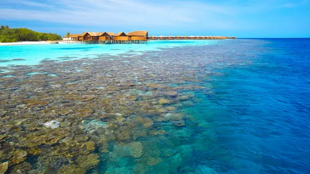 Lily Beach Resort — image 7