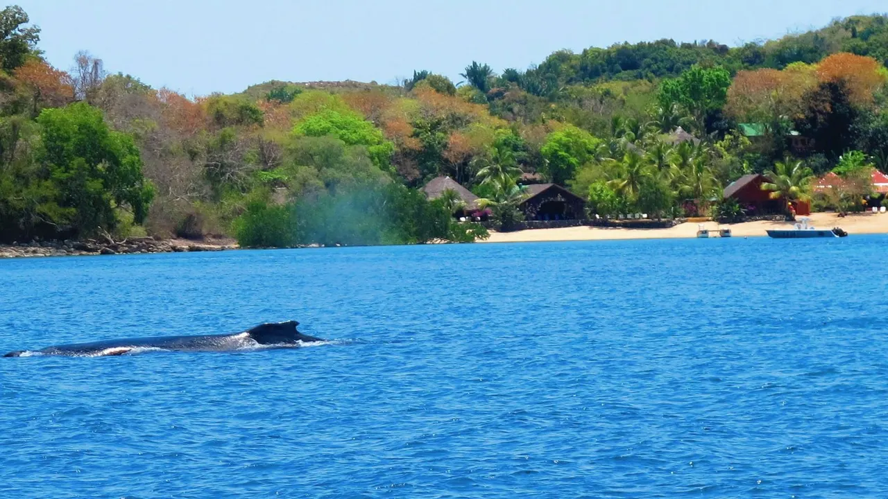 Sakatia Lodge — image 2